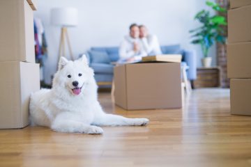 Packing gradually so your pet can get used to packing supplies can make moving with your pets easier.