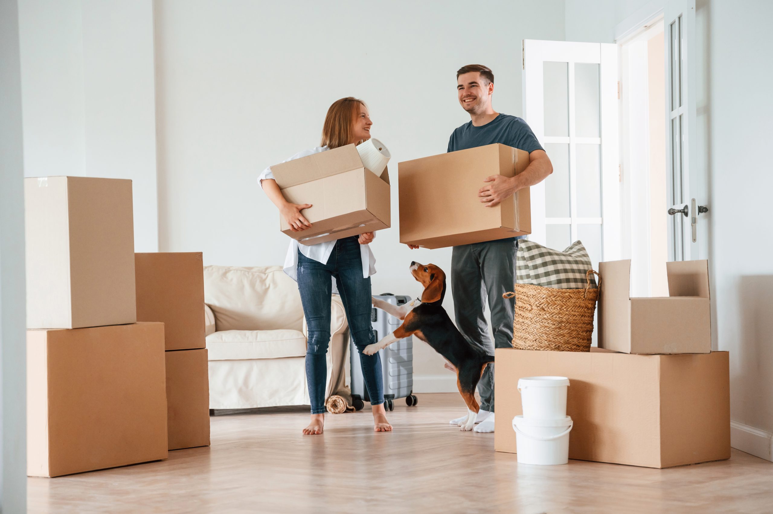 Preparing Pets for Moving